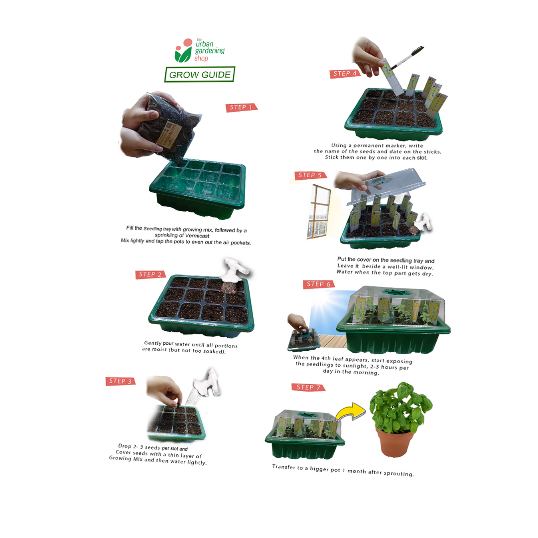 SEED GROW KIT with Tray and Humidity Dome- Includes Potting Mix, Seedling Tags and Free Seeds