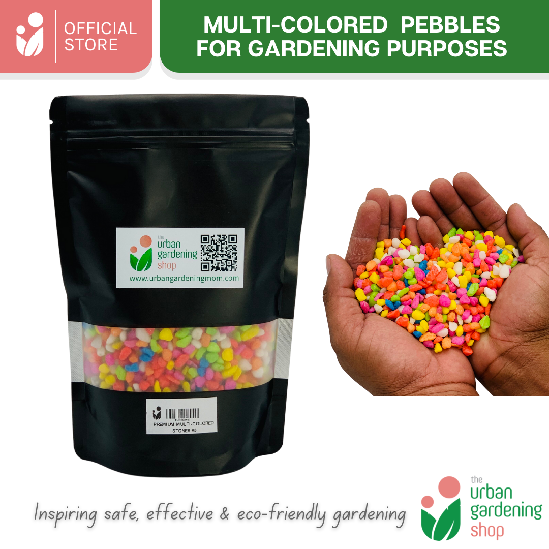 Premium Multicolored Pebbles|  Ideal as Decorative Topping or Filling For Gardening and Aquariums  1kilo