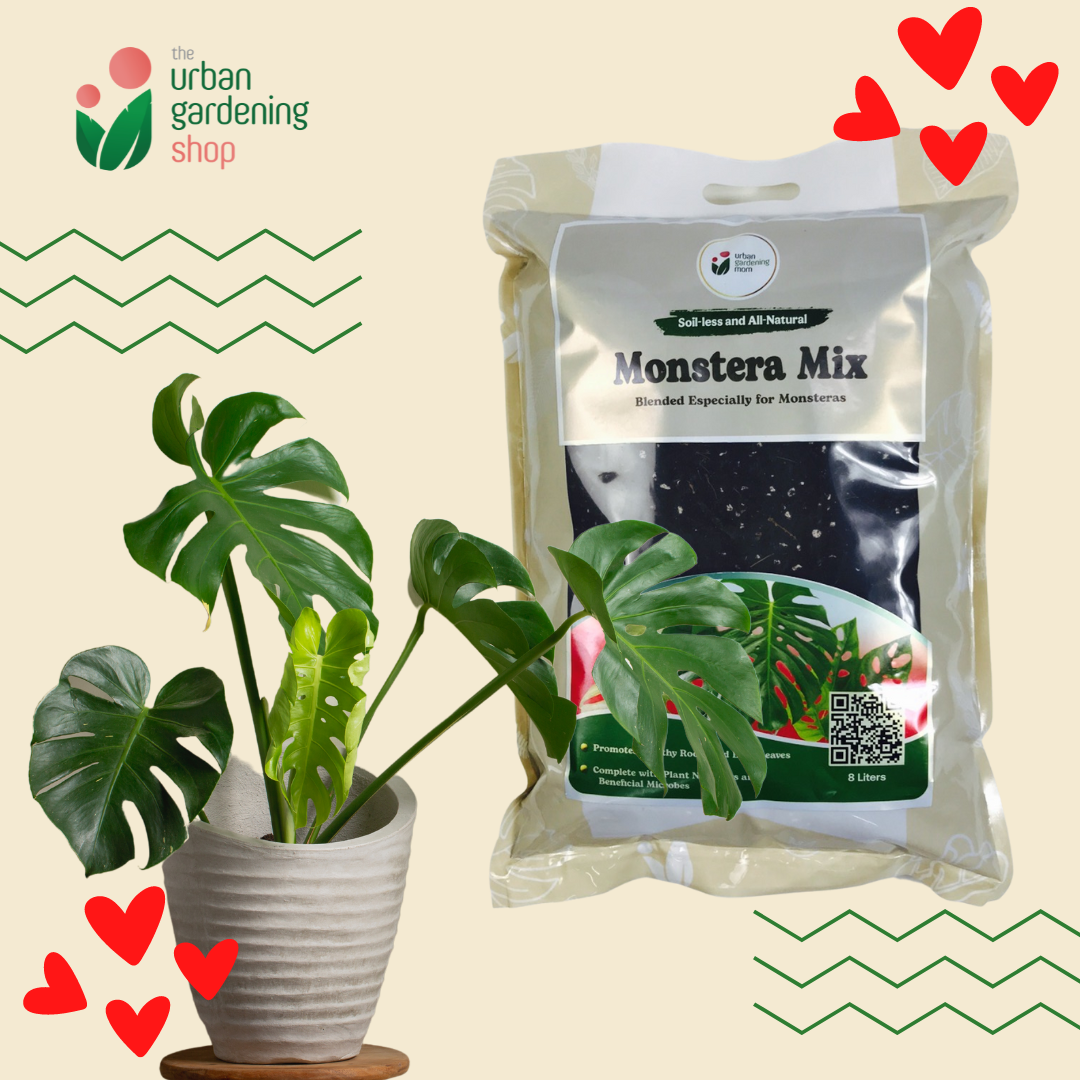 8-liter PREMIUM MONSTERA POTTING MIX Best Soil-less Mix for Monsteras and Similar Aroids