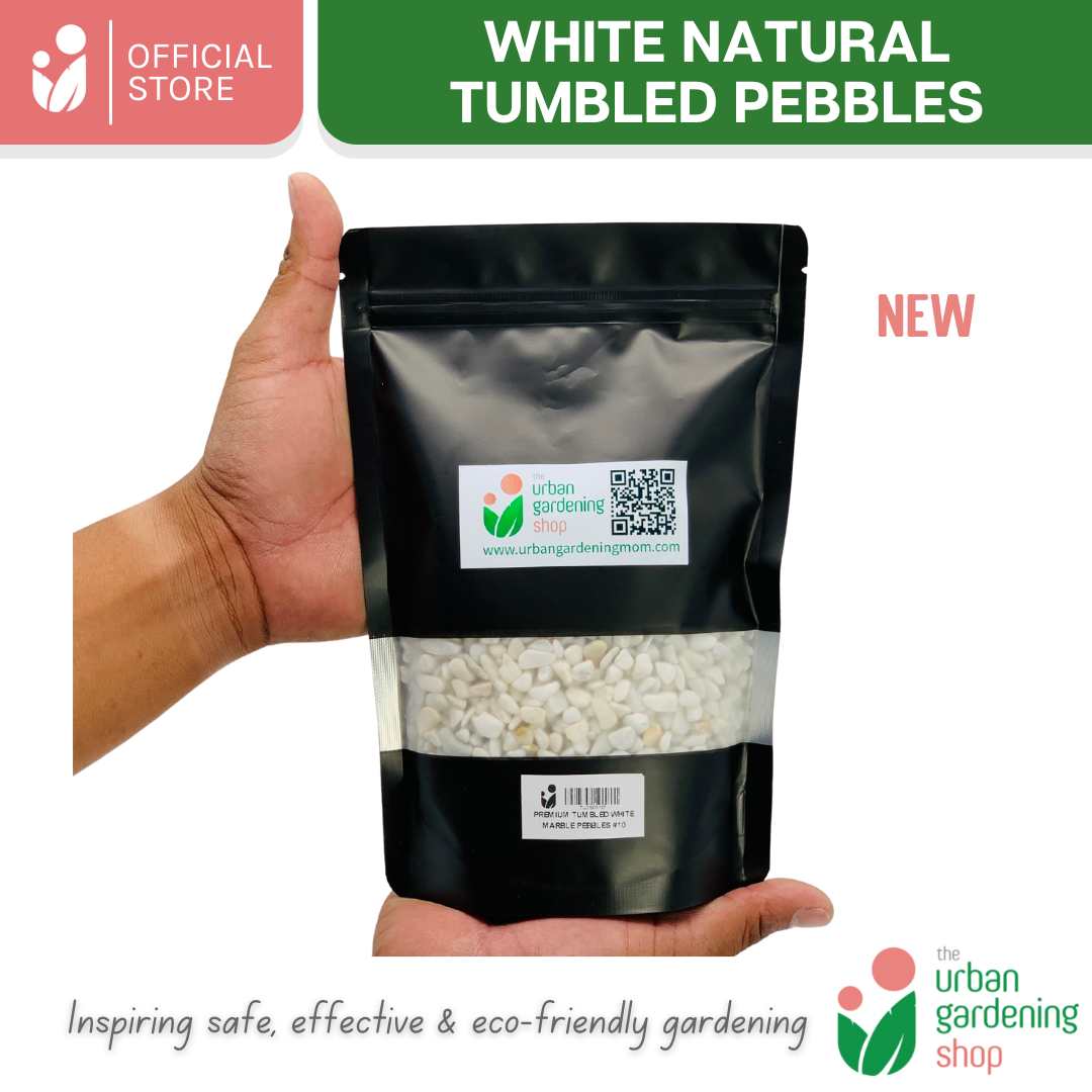 White Tumbled Natural Pebbles| Ideal For Mulching, Decorative Topping and Landcapeing for Gardening and Aquarium 1kilo per pack