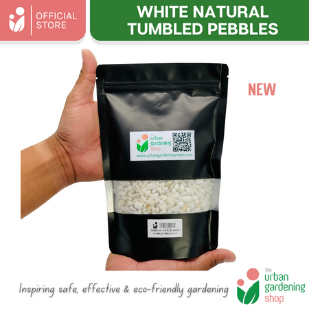 White Tumbled Natural Pebbles|  Ideal For Mulching, Decorative Topping and Landcapeing for Gardening and Aquarium  1kilo per pack