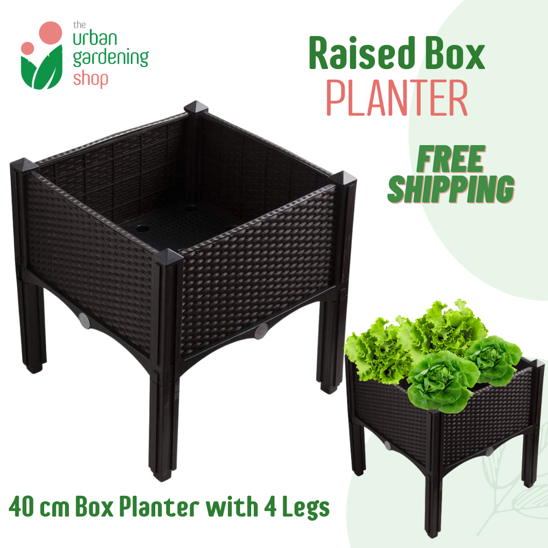 The Urban Gardening Shop Raised Box Planter With Legs - 40cm x 40cm
