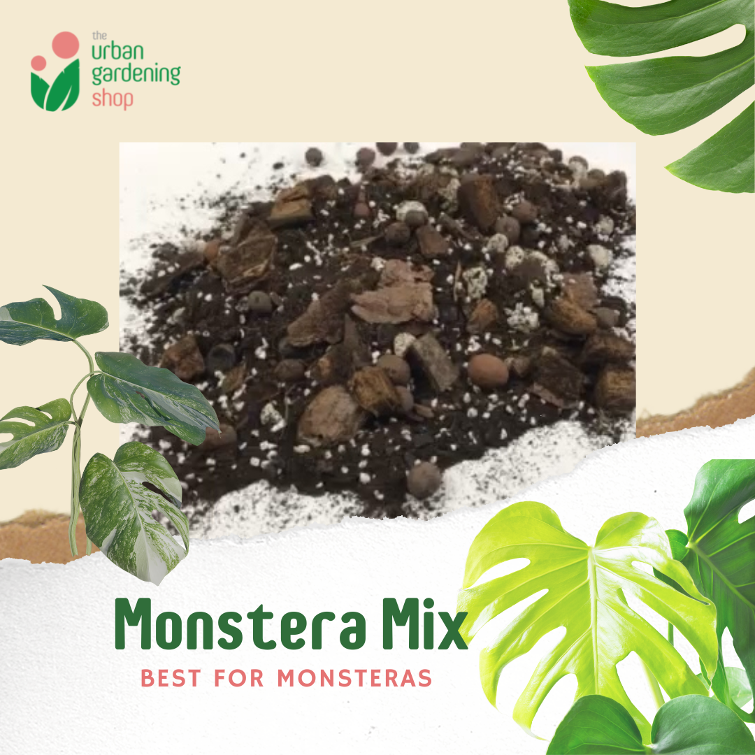8-liter PREMIUM MONSTERA POTTING MIX Best Soil-less Mix for Monsteras and Similar Aroids