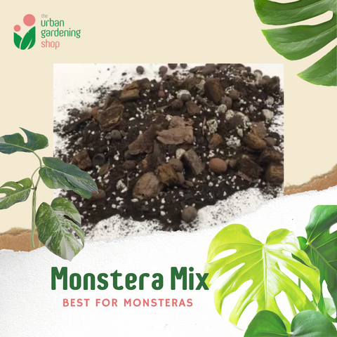 8-liter PREMIUM MONSTERA POTTING MIX  Best Soil-less Mix for Monsteras and Similar Aroids