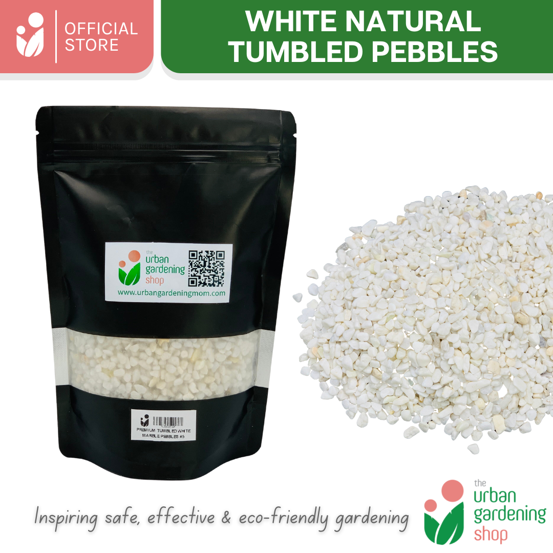 White Tumbled Natural Pebbles| Ideal For Mulching, Decorative Topping and Landcapeing for Gardening and Aquarium 1kilo per pack
