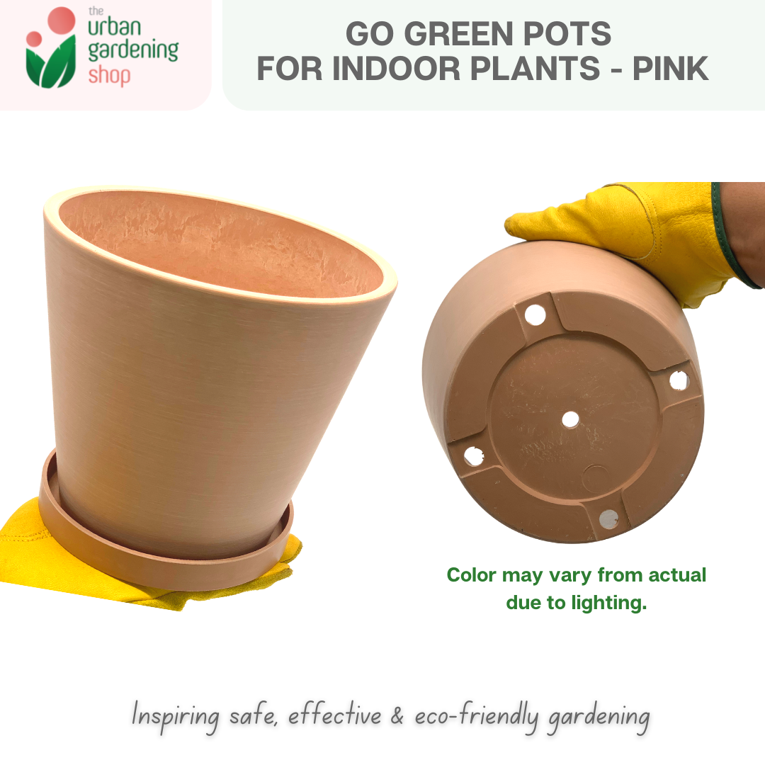 Go Green Eco-Friendly Garden Pots For Indoor Plants | LARGE Size - 19.5cm