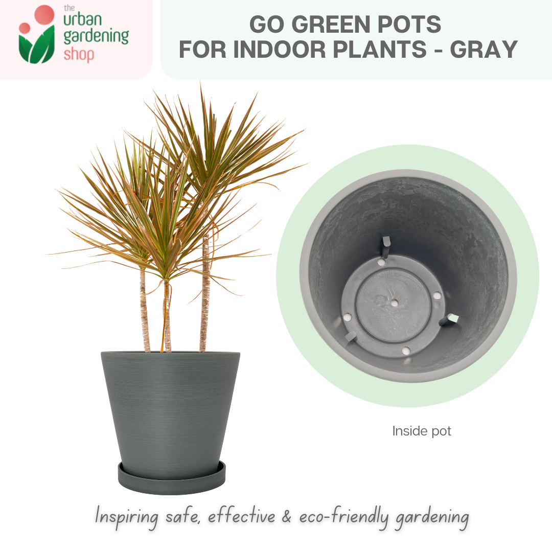Go Green Eco-Friendly Garden Pots For Indoor Plants | LARGE Size - 19.5cm