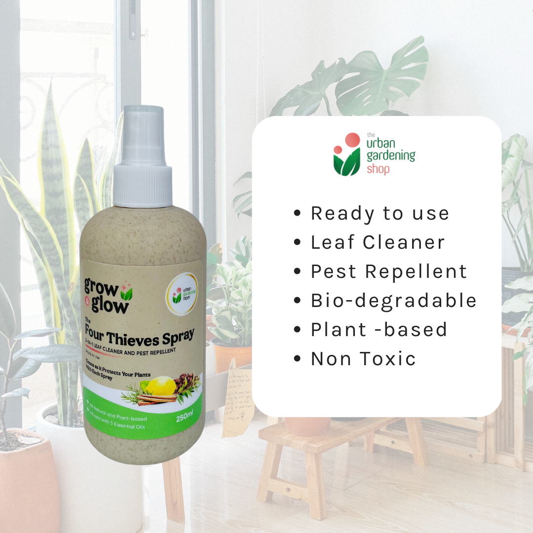 THE FOUR THIEVES BLEND All-Purpose Garden Spray - Disinfectant, Cleaning, Misting, Air Freshener and Insect Repellant in One – For Indoor Use