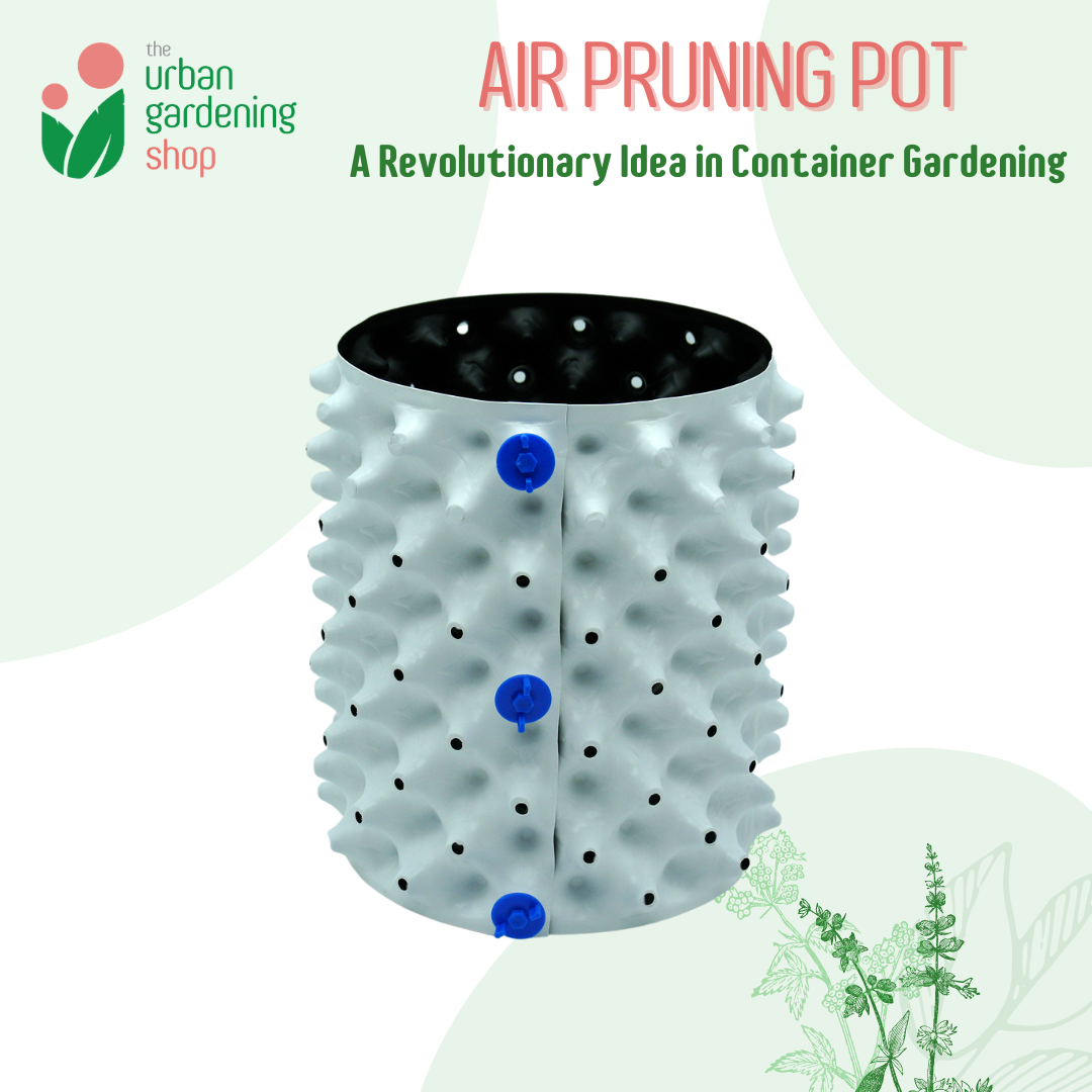 AIR PRUNING POT (1 set)- A revolutionary Idea in Container Gardening