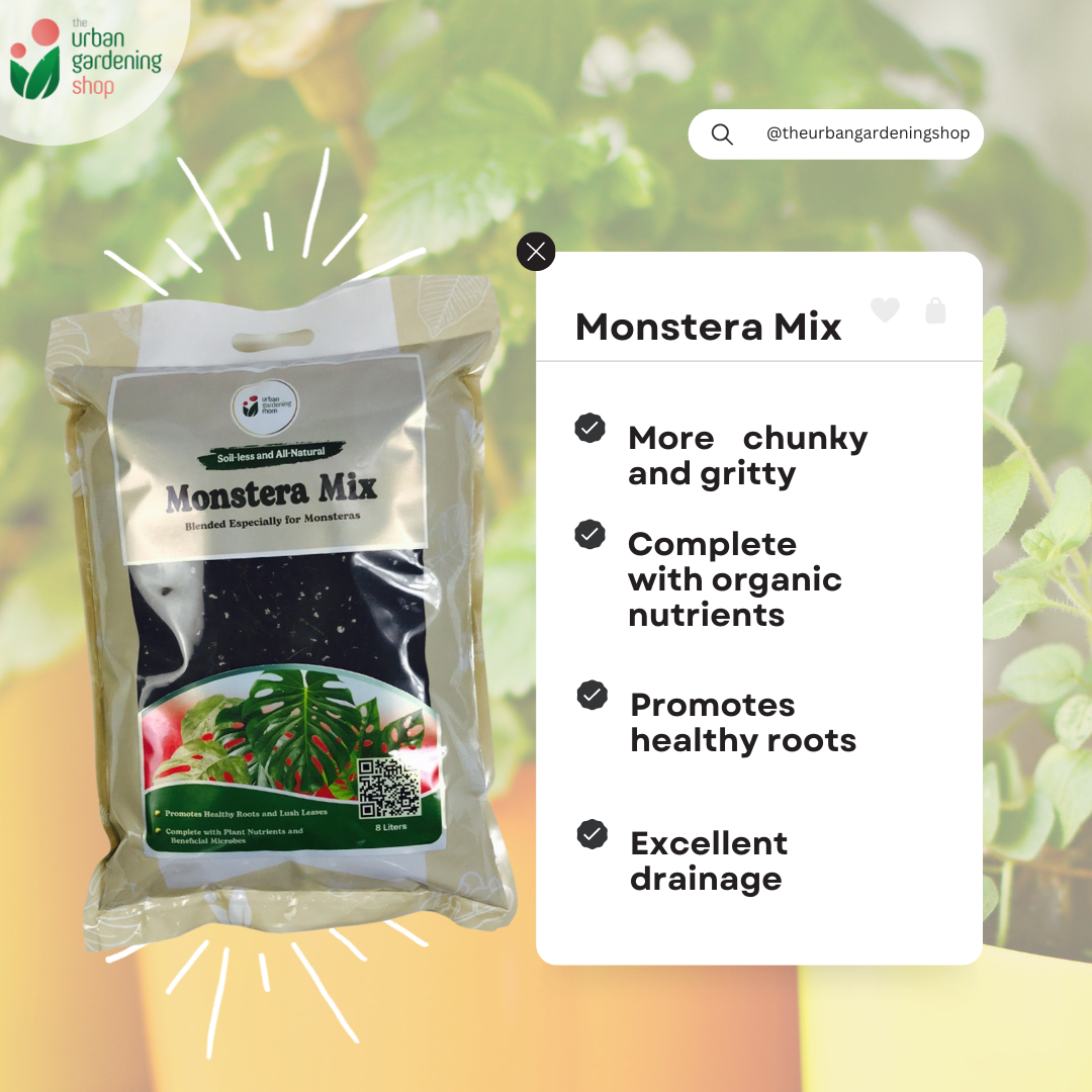 8-liter PREMIUM MONSTERA POTTING MIX Best Soil-less Mix for Monsteras and Similar Aroids