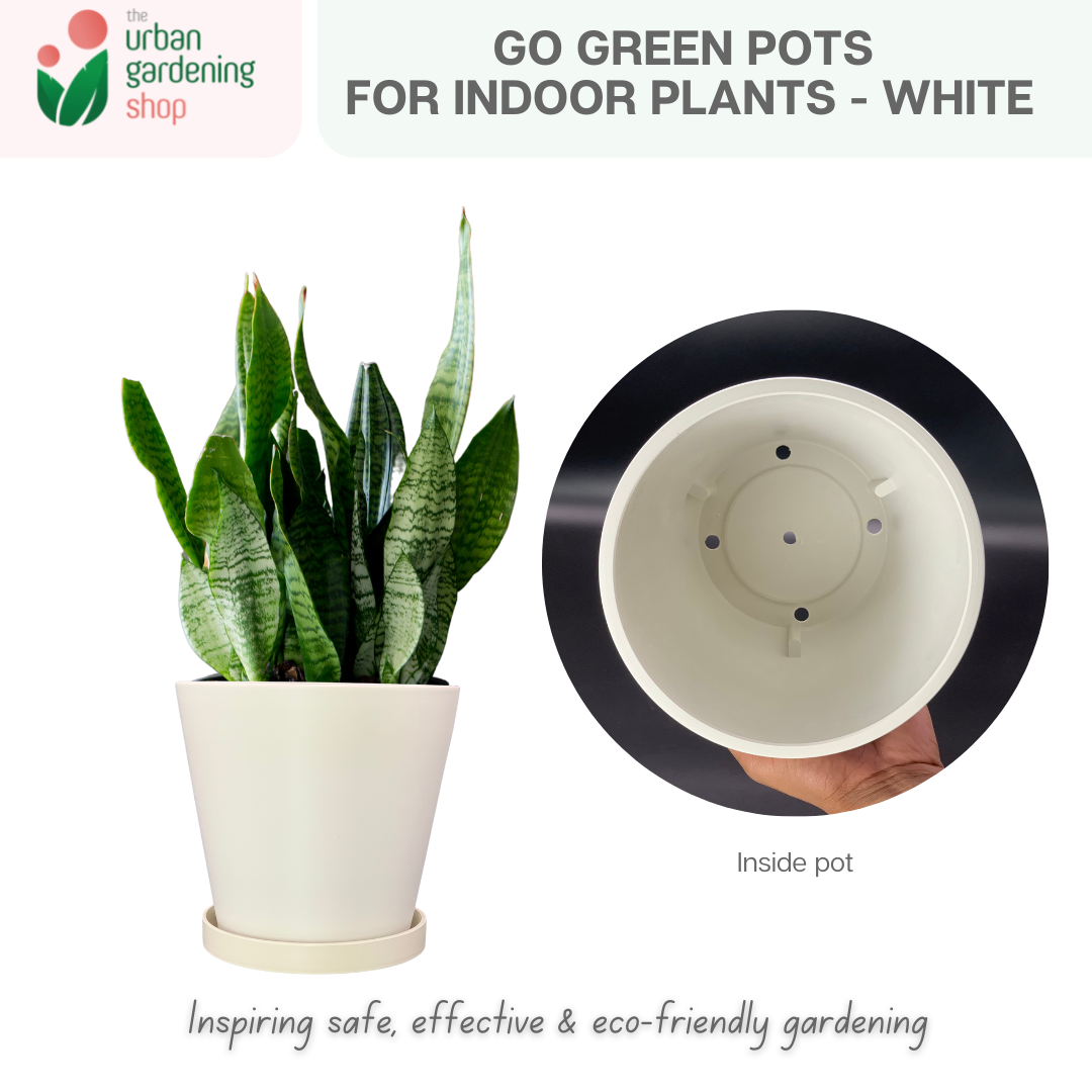 Go Green Eco-Friendly Garden Pots For Indoor Plants | LARGE Size - 19.5cm