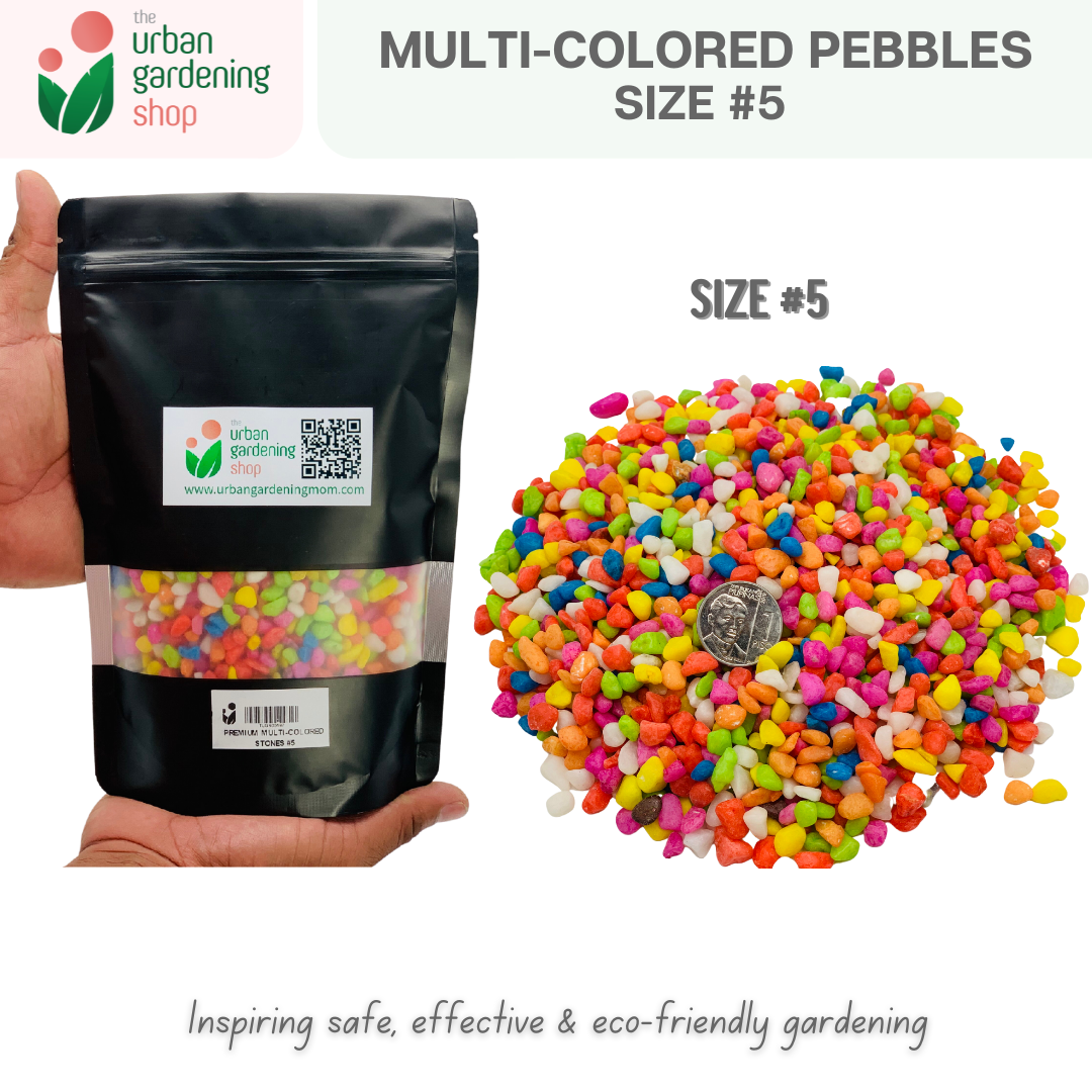 Premium Multicolored Pebbles|  Ideal as Decorative Topping or Filling For Gardening and Aquariums  1kilo