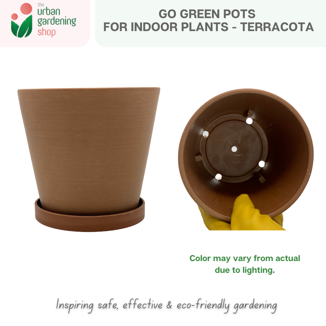 Go Green Eco-Friendly Garden Pots For Indoor Plants | LARGE Size - 19.5cm