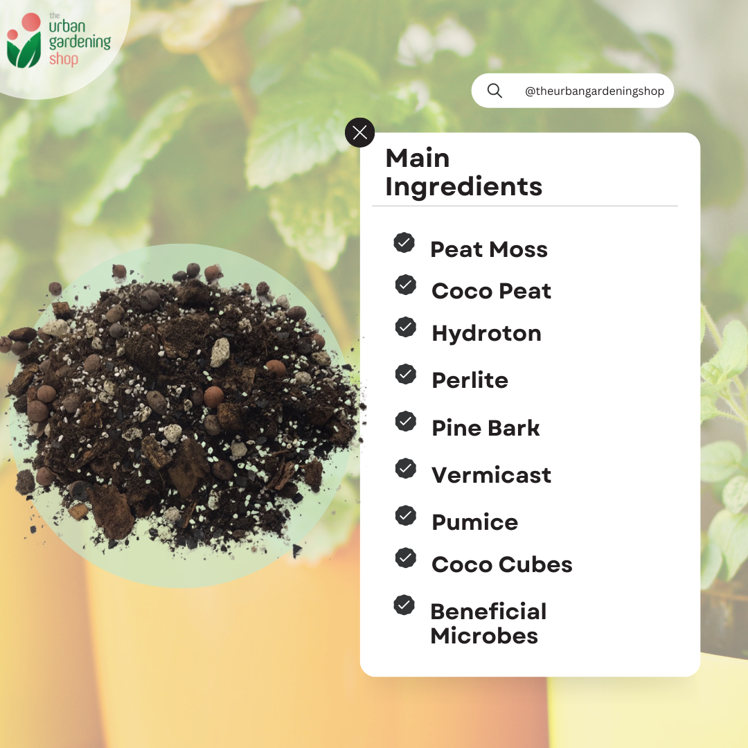 8-liter PREMIUM MONSTERA POTTING MIX Best Soil-less Mix for Monsteras and Similar Aroids