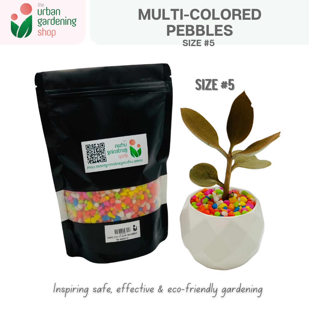 Premium Multicolored Pebbles|  Ideal as Decorative Topping or Filling For Gardening and Aquariums  1kilo