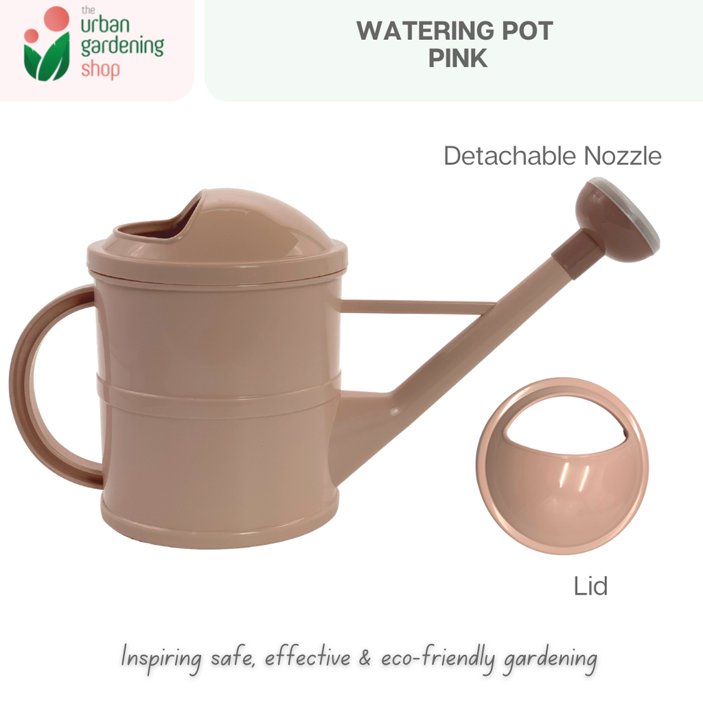 Cute Watering Pot for Indoor Garden Use | MED SIZE holds up to 1 liter