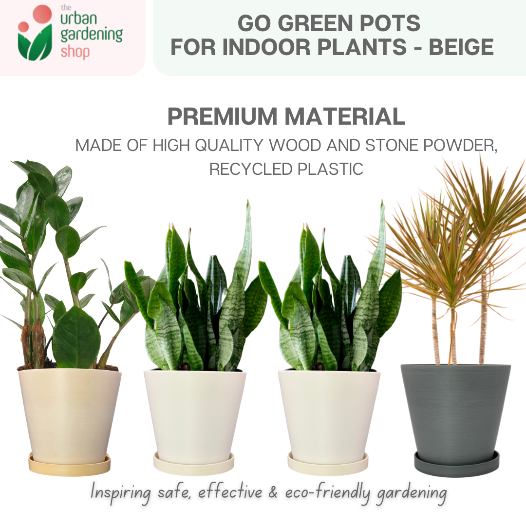 Go Green Eco-Friendly Garden Pots For Indoor Plants | LARGE Size - 19.5cm