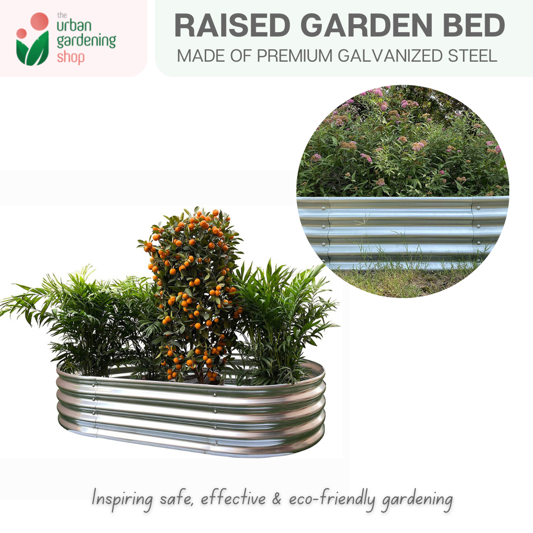 Galvanized Raised Garden Bed | Premium Oval 120cm x 60cm x 29cm