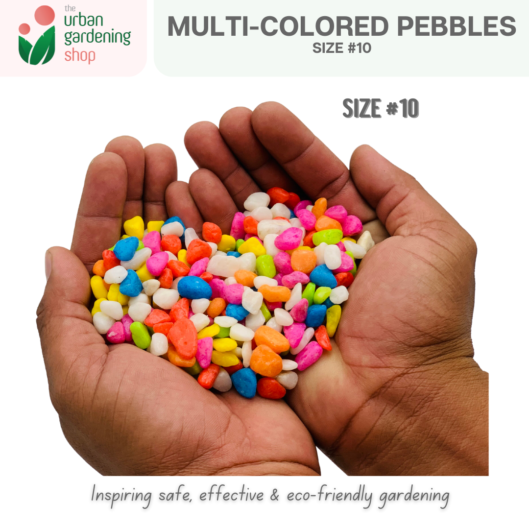 Premium Multicolored Pebbles|  Ideal as Decorative Topping or Filling For Gardening and Aquariums  1kilo
