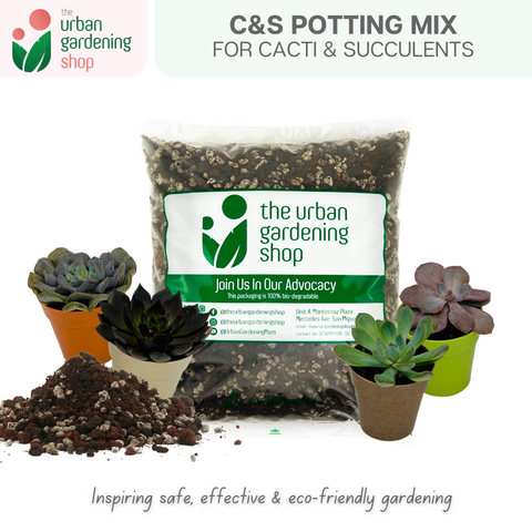 C&S SOIL-LESS POTTING MIX   Best Suited for Cactus and Succulents