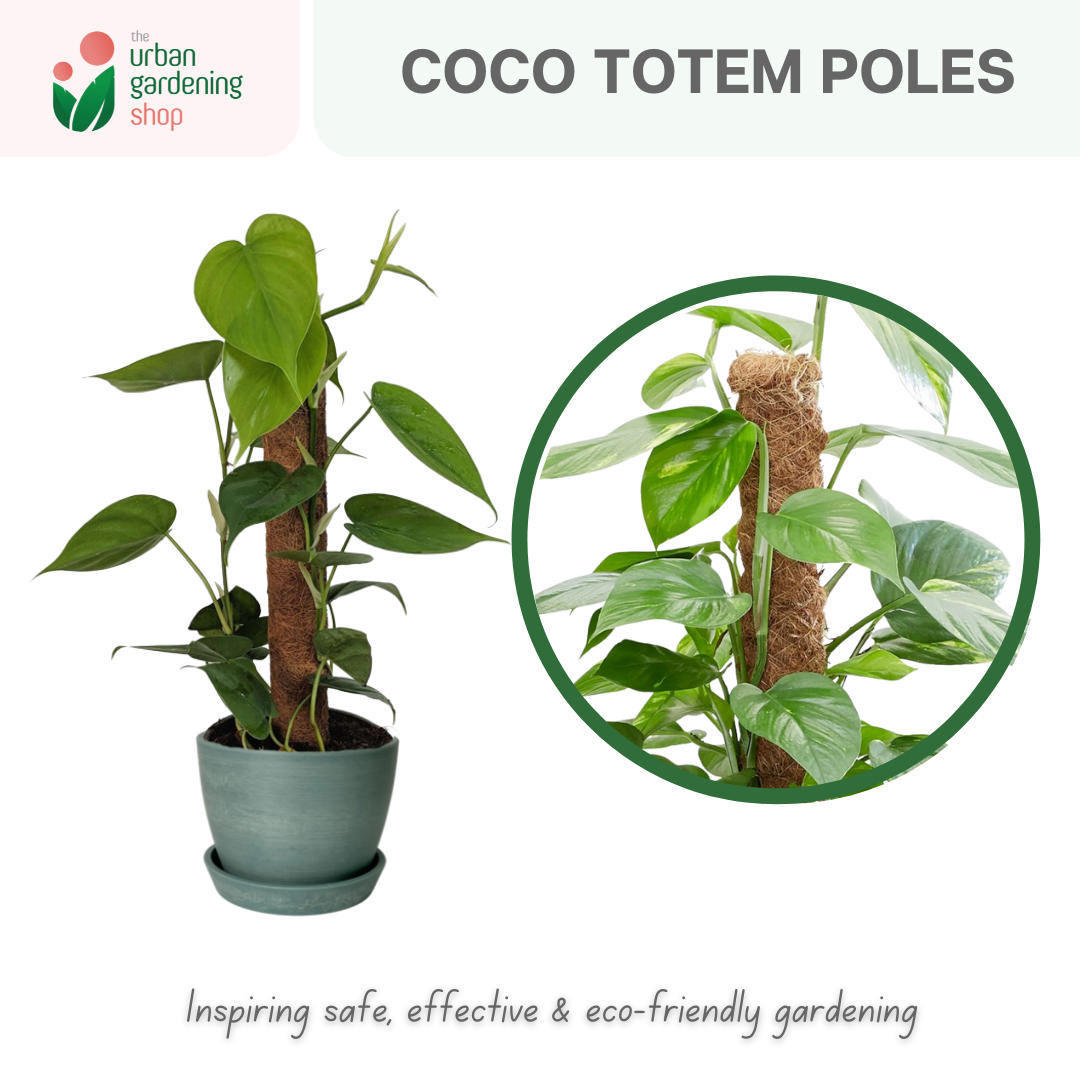 Premium Coco Fiber Totem Moss Pole| Stackable Plant Support