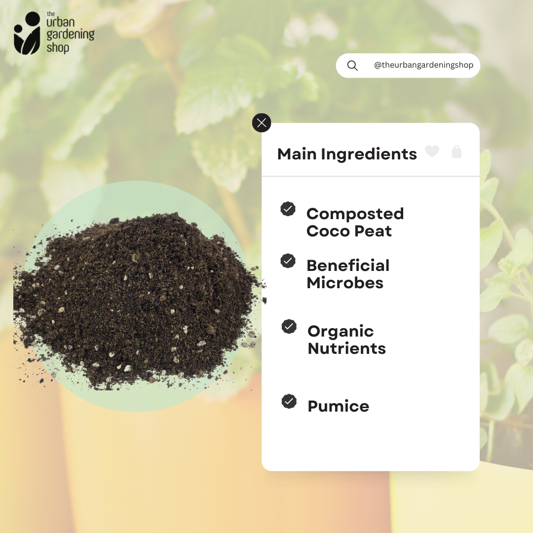 8-liter VEGGIE POTTING MIX Premium Soilless Potting Mix for Leafy Greens and Herbs