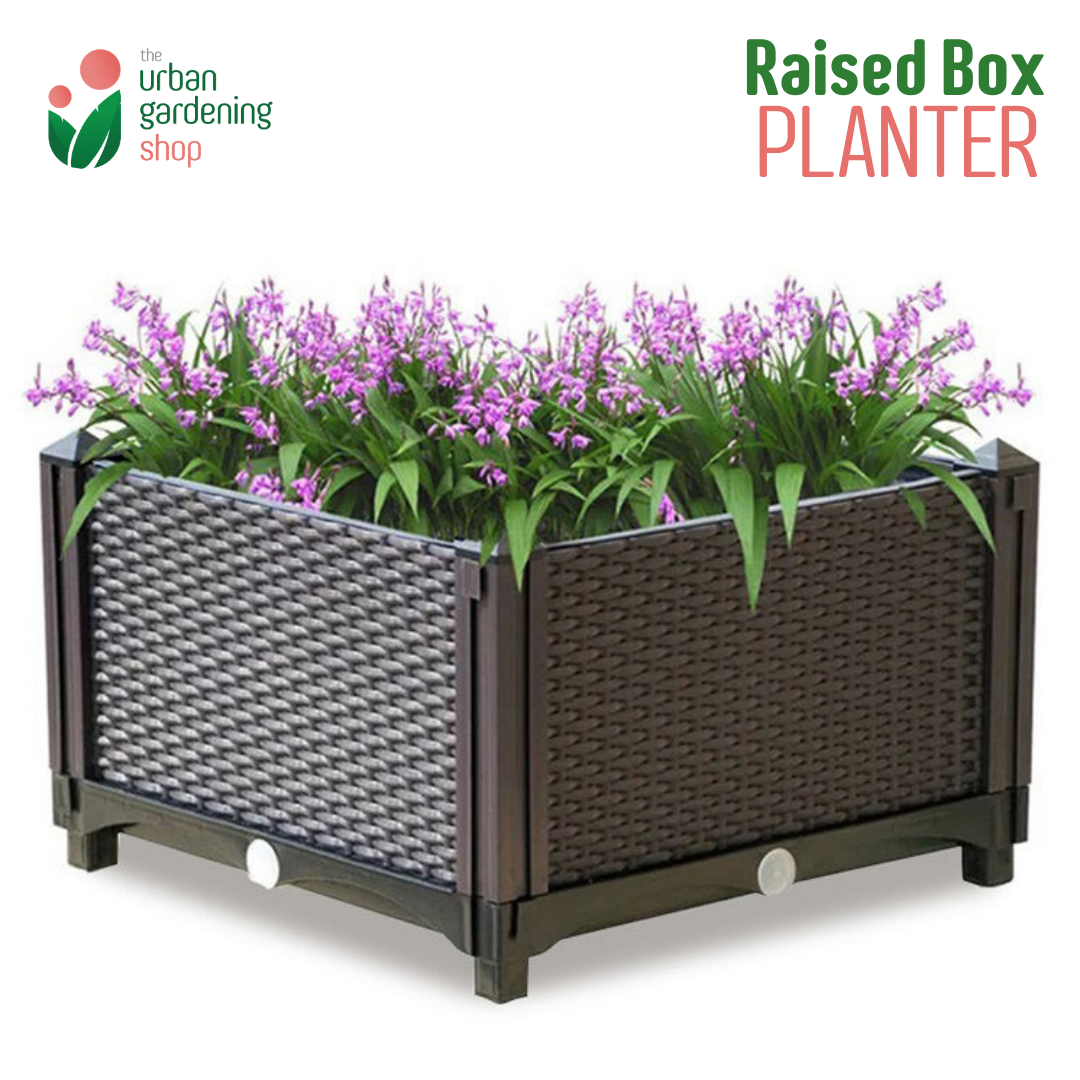 The Urban Gardening Shop Raised Box Planter With Legs - 40cm x 40cm