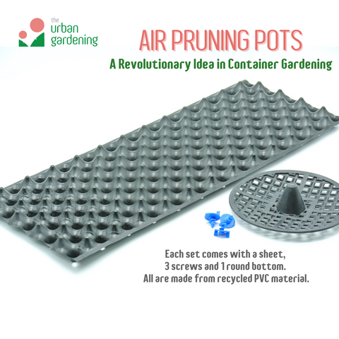 AIR PRUNING POT (1 set)- A revolutionary Idea in Container Gardening