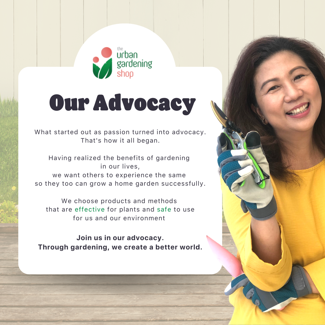 8-liter PREMIUM MONSTERA POTTING MIX Best Soil-less Mix for Monsteras and Similar Aroids