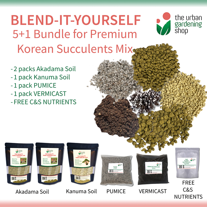 The Urban Gardening Shop 5+1 Pack "Blend it Yourself" Premium Mix for Cactus And Succulents