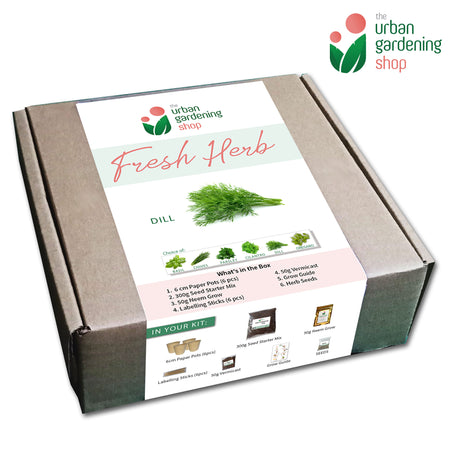 HERB SEED STARTER KITS by The Urban Gardening Shop