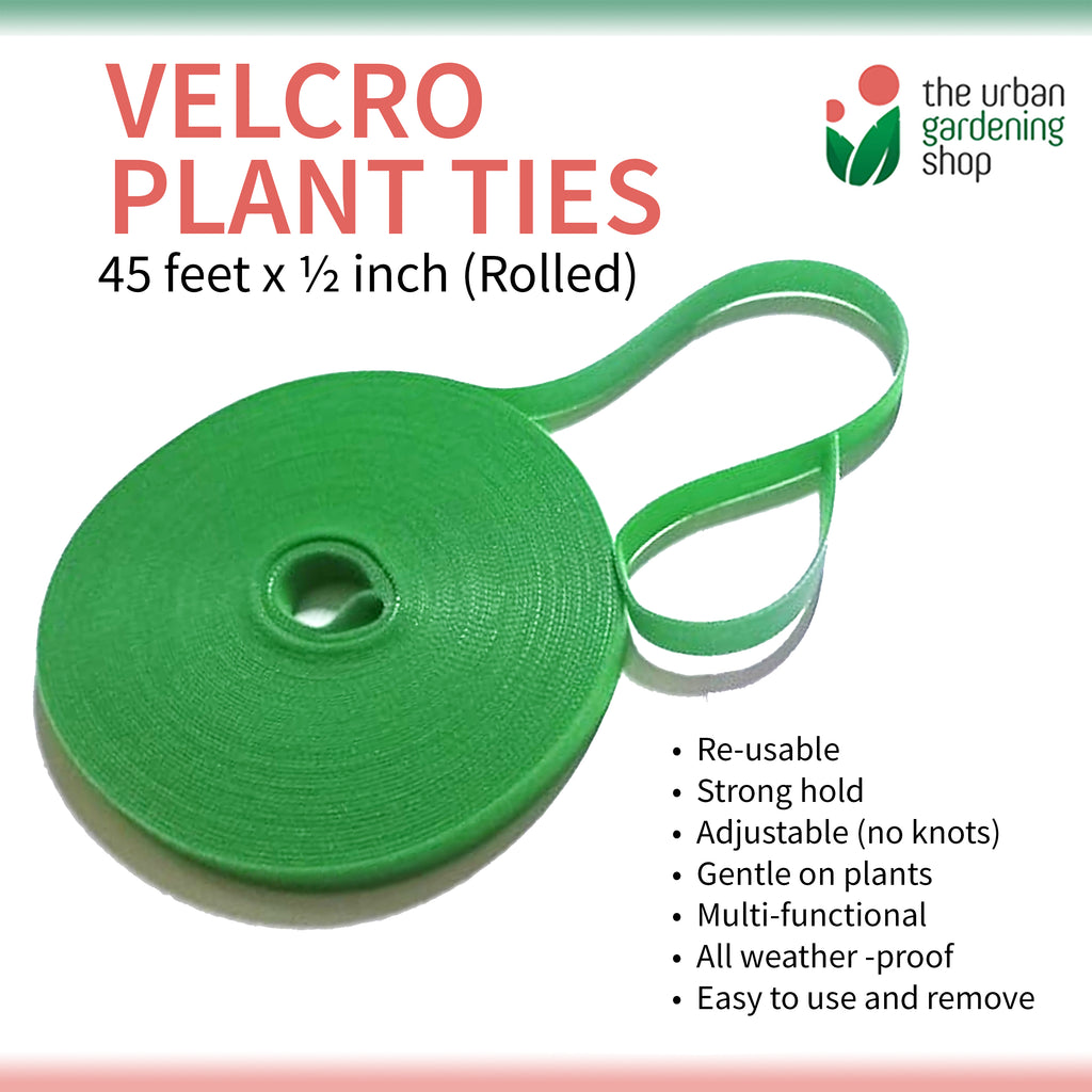 RE-USABLE PLANT TIES – Multi-purpose Velcro Material and Re-usable – The  Urban Gardening Shop