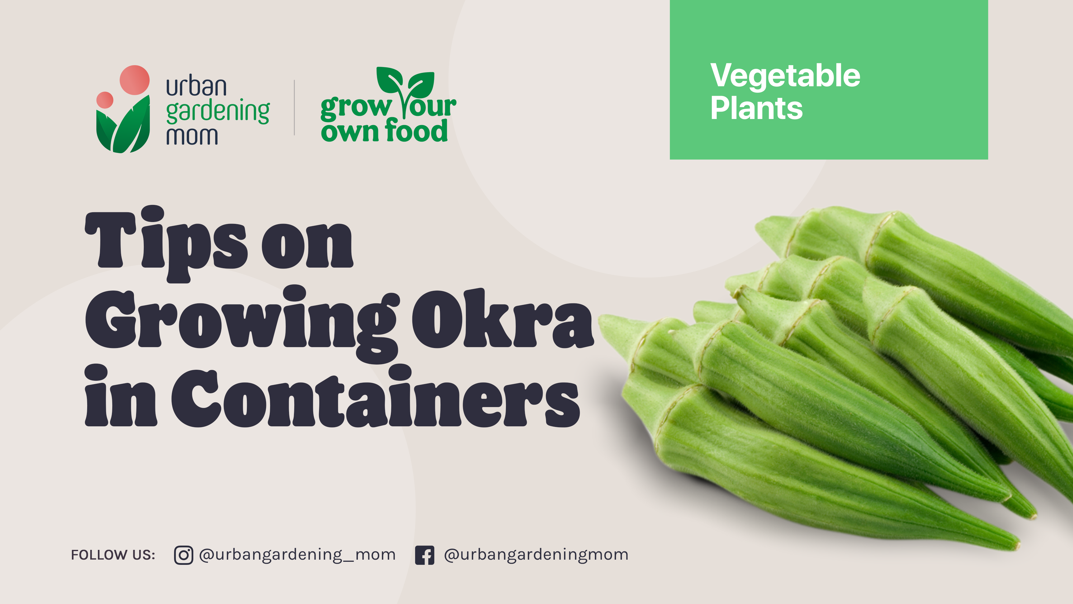 Okra Container Gardening