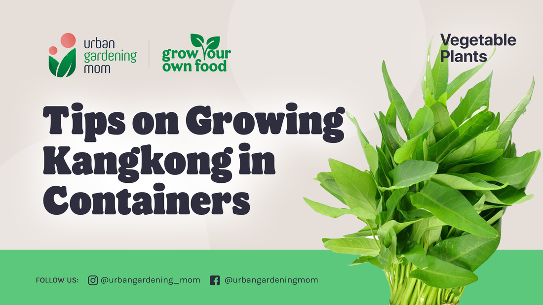 Tips on Growing Kangkong in Containers
