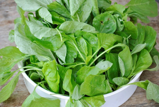 Want to grow spinach in the tropical city Here’s how.
