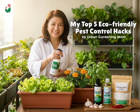 My Top 5 Eco-Friendly Pest Control Hacks for Summer