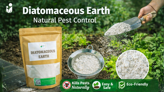 Diatomaceous Earth: A Natural Secret for Healthier Gardens