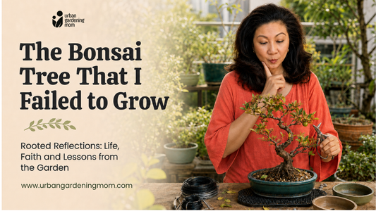 Rooted Reflections:  The Bonsai Tree That I Failed to Grow