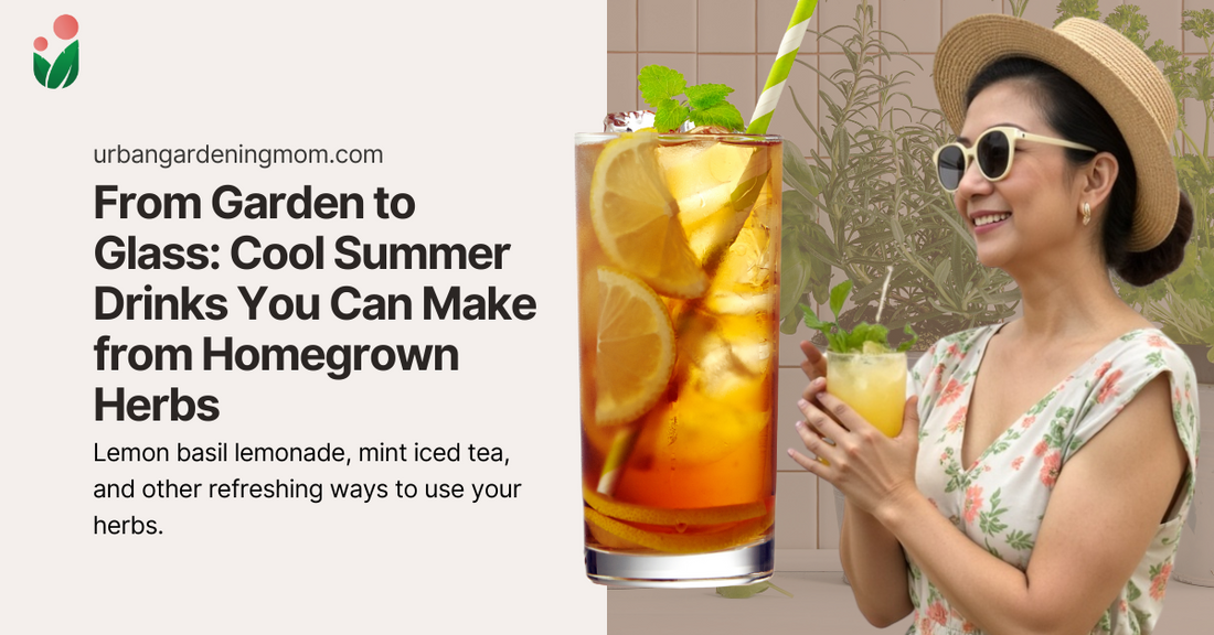 From Garden to Glass: Cool Summer Drinks You Can Make from Homegrown Herbs