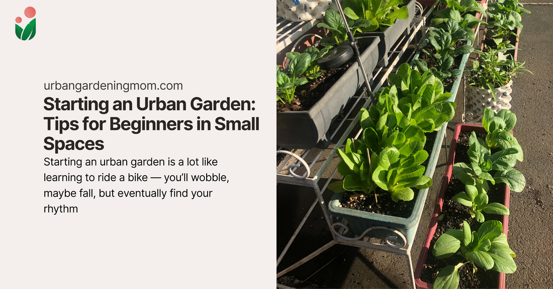 🌱 Starting an Urban Garden: Tips for Beginners in Small Spaces