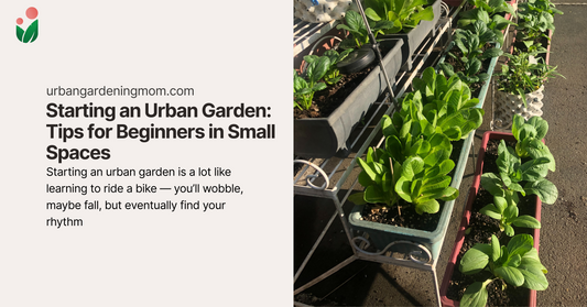 🌱 Starting an Urban Garden: Tips for Beginners in Small Spaces