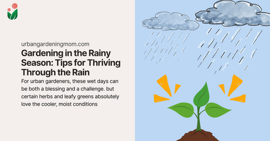 Gardening in the Rainy Season: Tips for Thriving Through the Rain