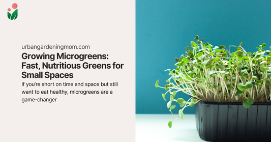 Growing Microgreens: Fast, Nutritious Greens for Small Spaces