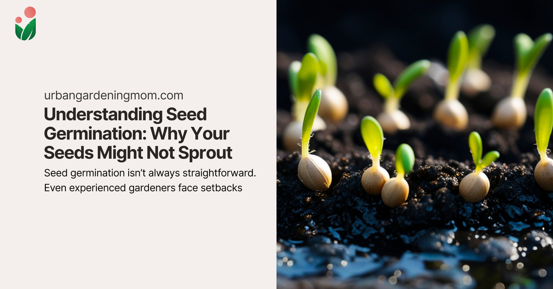 Understanding Seed Germination: Why Your Seeds Might Not Sprout