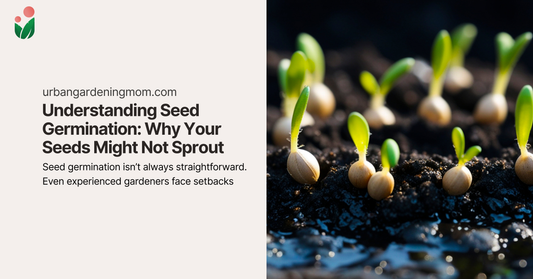 Understanding Seed Germination: Why Your Seeds Might Not Sprout