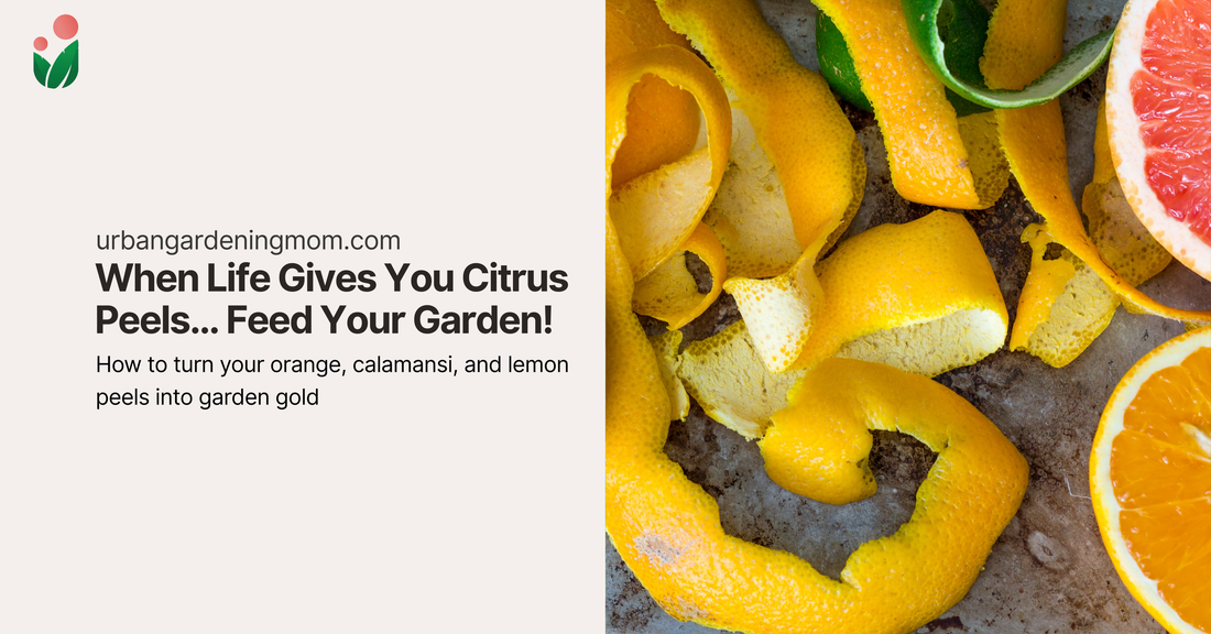 When Life Gives You Citrus Peels… Feed Your Garden!