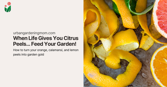 When Life Gives You Citrus Peels… Feed Your Garden!