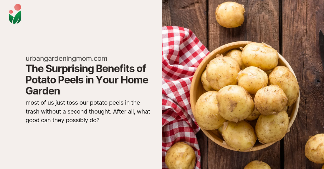 The Surprising Benefits of Potato Peels in Your Home Garden