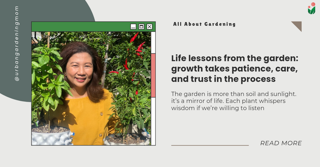 Life lessons from the garden: growth takes patience, care, and trust in the process