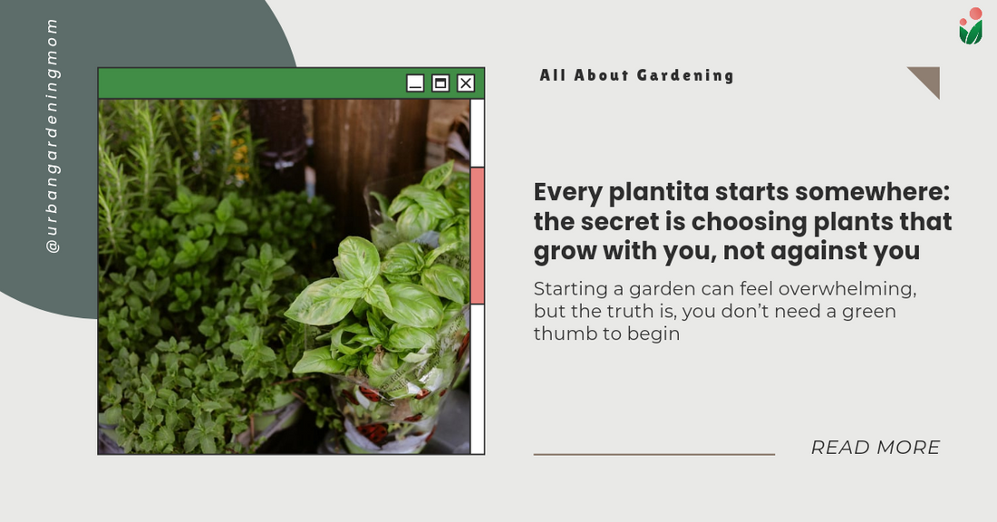 Every plantita starts somewhere: the secret is choosing plants that grow with you, not against you